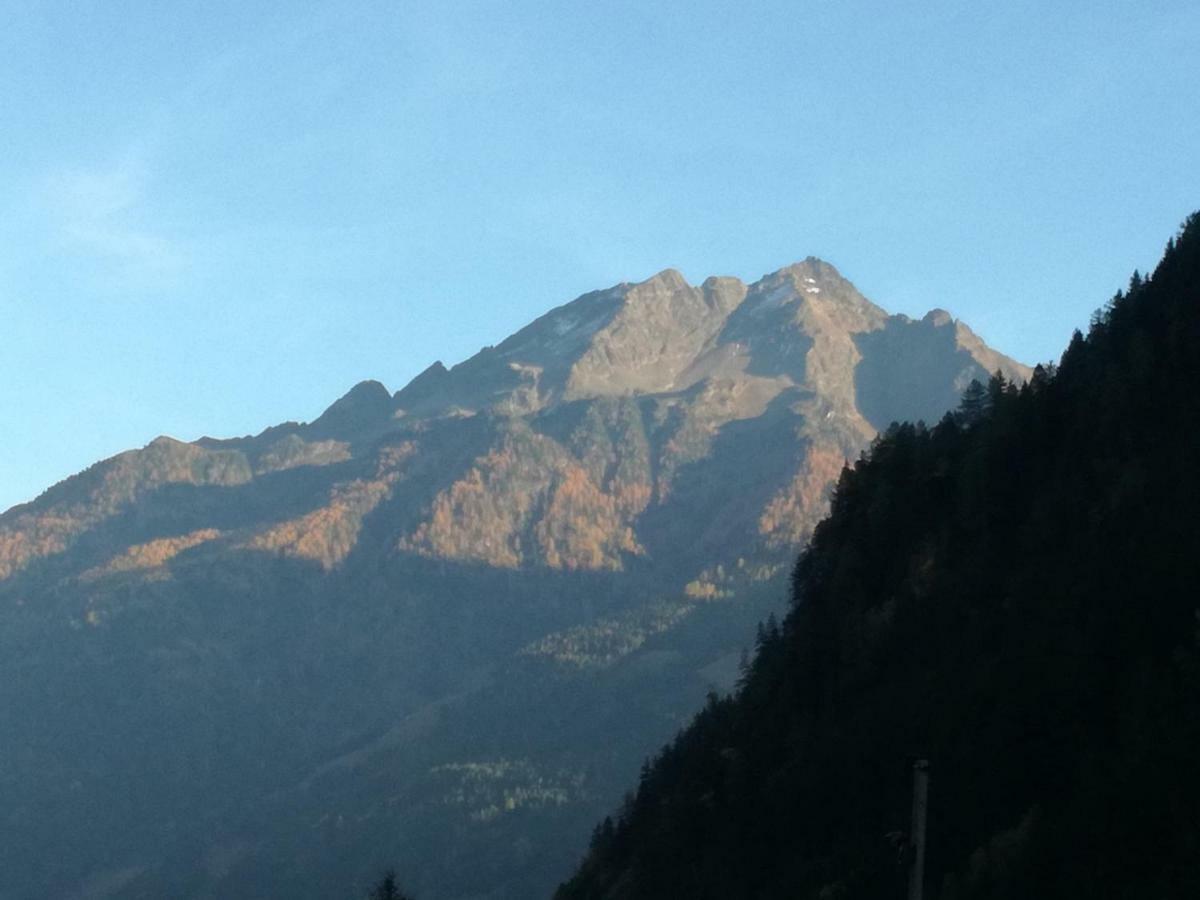 Am Wallnerhof *