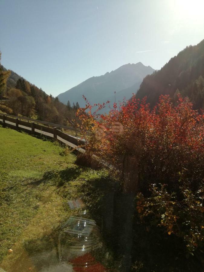 Am Wallnerhof Holiday home *